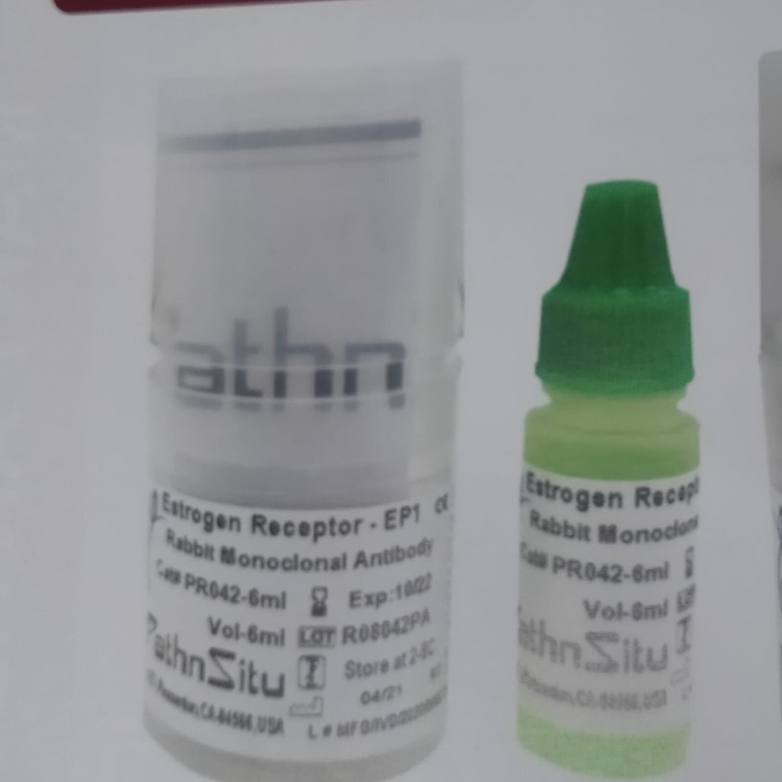 Estrogen Receptor Alpha-EP1