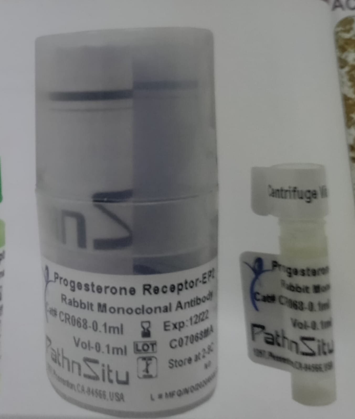 Progesterone Receptor-EP2